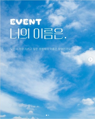 섬네일 이미지