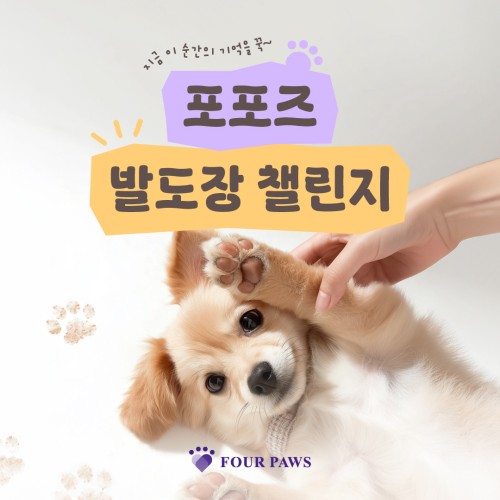 섬네일 이미지